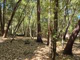 1694 Ponderosa Road - Photo 3