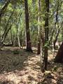 1694 Ponderosa Road - Photo 4