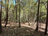 26710 Poppy Drive - Photo 1
