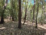 26710 Poppy Drive - Photo 4