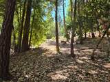 26710 Poppy Drive - Photo 9