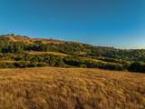 5291 Sonoma Mountain Road - Photo 2