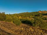 5291 Sonoma Mountain Road - Photo 21