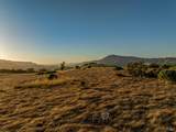 5291 Sonoma Mountain Road - Photo 23