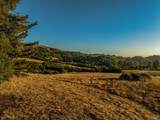 5291 Sonoma Mountain Road - Photo 4