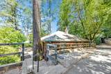 11777 Madrona Road - Photo 3