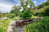 1135 Palomino Road - Photo 37
