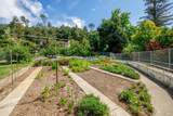 1135 Palomino Road - Photo 39
