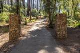 7007 Dry Creek Road - Photo 11