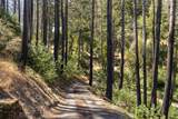 7007 Dry Creek Road - Photo 12