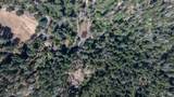 7007 Dry Creek Road - Photo 13