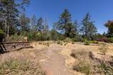 7007 Dry Creek Road - Photo 5
