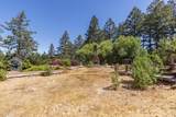 7007 Dry Creek Road - Photo 6