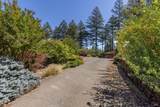 7007 Dry Creek Road - Photo 8
