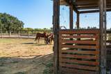 5111 Todd Road - Photo 19