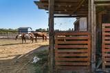 5111 Todd Road - Photo 20
