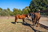 5111 Todd Road - Photo 22