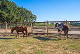 5111 Todd Road - Photo 6