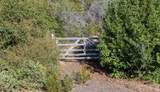 7051 Geysers Road - Photo 9