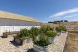 3150 Pepper Road - Photo 49