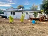 18175 Deer Hollow Road - Photo 21