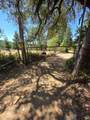 13333 Low Gap Road - Photo 20