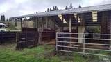 13333 Low Gap Road - Photo 41