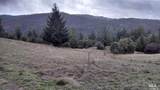 13333 Low Gap Road - Photo 44