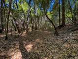 3700 Redwood Creek Road - Photo 5