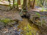 3700 Redwood Creek Road - Photo 6