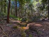 3700 Redwood Creek Road - Photo 7
