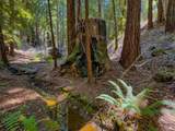 3700 Redwood Creek Road - Photo 8