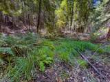 3700 Redwood Creek Road - Photo 9