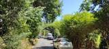 18355 Neeley Road - Photo 6