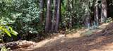 18355 Neeley Road - Photo 7