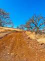 4355 Stonefield Lane - Photo 86