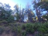 28990 Eel River Ranch Road - Photo 20