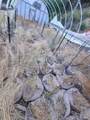 28990 Eel River Ranch Road - Photo 4