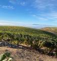 4420 Cavedale Road - Photo 31