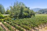 1819 Zinfandel Lane - Photo 3