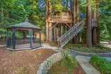 16611 Pearl Ranch Road - Photo 45