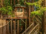 16611 Pearl Ranch Road - Photo 48