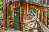 16611 Pearl Ranch Road - Photo 50