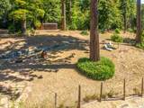 31026 Albion Ridge L Road - Photo 26