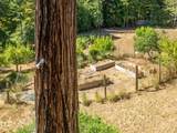 31026 Albion Ridge L Road - Photo 29