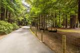43850 Buckhorn Cove Road - Photo 48