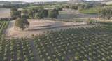 21215 Shenandoah School Road - Photo 43