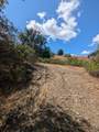 59202 George Washington Rock Road - Photo 13