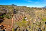 11415 Seigler Springs North Road - Photo 36