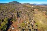11415 Seigler Springs North Road - Photo 41